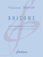 Rhizome 
