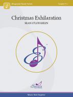 Christmas Exhilaration 