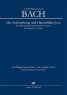 Die Auferstehung und Himmelfahrt Jesu Standard