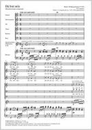 Dû bist mîn Standard