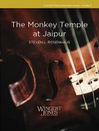 The Monkey Temple at Jaipur 