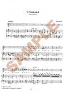 Suomalainen vieraanvara 