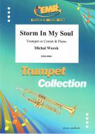 Storm In My Soul Standard