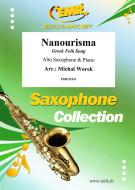 Nanourisma Standard