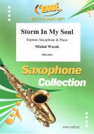 Storm In My Soul Standard