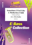 Sometimes I Feel Like Motherless Child Download