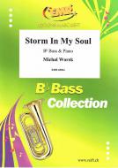 Storm In My Soul Download