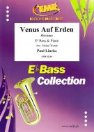 Venus Auf Erden Download