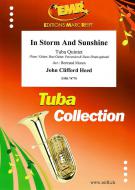 In Storm And Sunshine Download