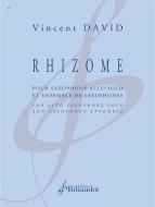 Rhizome 