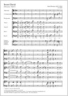 Inveni David WAB 19 Download