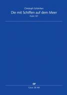 Die mit Schiffen auf dem Meer Standard