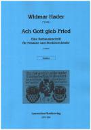Ach Gott gieb Fried 
