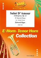 Salut D'Amour op. 12 Download