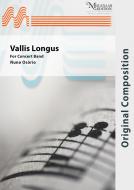 Vallis Longus 
