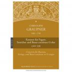 GWV 328 Concerto in G major 