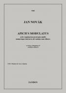 Apicius Modulatus 