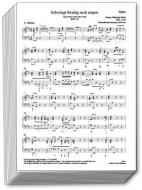 Das geistliche Vokalwerk 