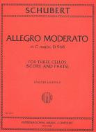 Allegro Moderato in C major, D. 968 