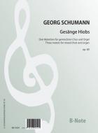 Gesänge Hiobs - Drei Motetten für Chor und Orgel op.60 