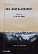 Old Licks Bluesed Up 