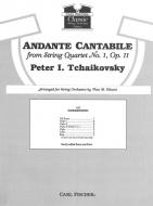 Andante Cantabile from String Quartet No. 1, Op. 11 