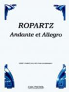 Andante et Allegro 