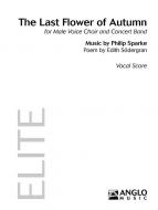 The Last Flower of Autumn 