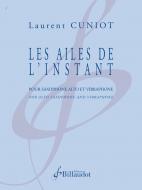 Les Ailes de l'Instant 