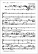 Christe, du Lamm Gottes Standard