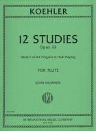 The Progress in Flute Playing Op. 33 Vol. 2 