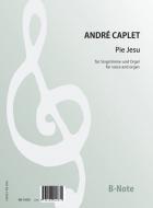 Pie Jesu für Singstimme und Orgel 