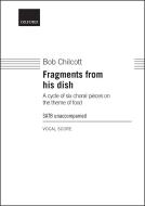 Fragments from his dish 