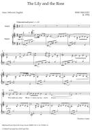 The Lily and the Rose 