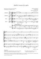 Audivi vocem de caelo 