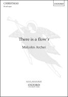 There is a flow'r 