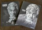 Steve Gadd A Life in Time 
