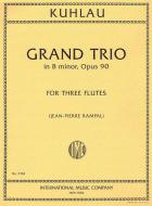 Grand Trio in B minor, Op. 90 
