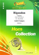 Rigaudon Standard