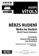 Birke im Herbst 