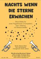 Nachts wenn die Sterne erwachen 