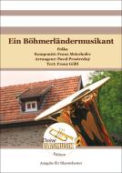 Ein Böhmerländermusikant 