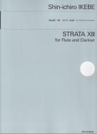 Strata XIII 
