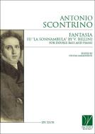 Fantasia su "La Sonnambula" by V. Bellini 