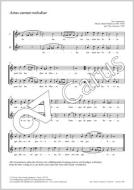 Aetas carmen melodiae Standard