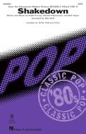 Shakedown Standard