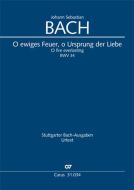 O ewiges Feuer, o Ursprung der Liebe BWV 34 Download