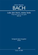 Lobe den Herrn, meine Seele (II) Download