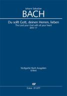 Du sollt Gott, deinen Herren, lieben Download