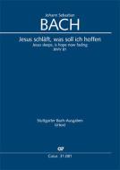 Jesus schläft, was soll ich hoffen Download